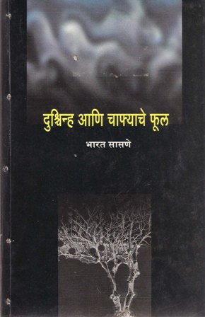 image-description