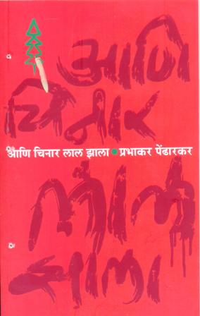 image-description