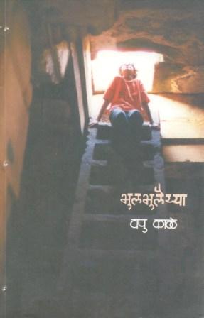 image-description