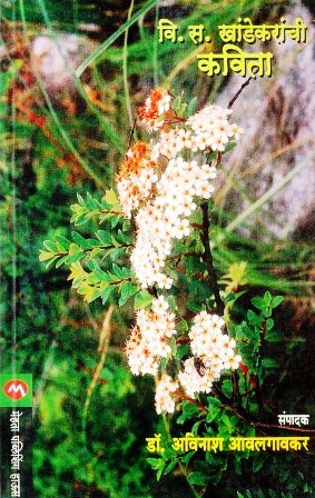 image-description